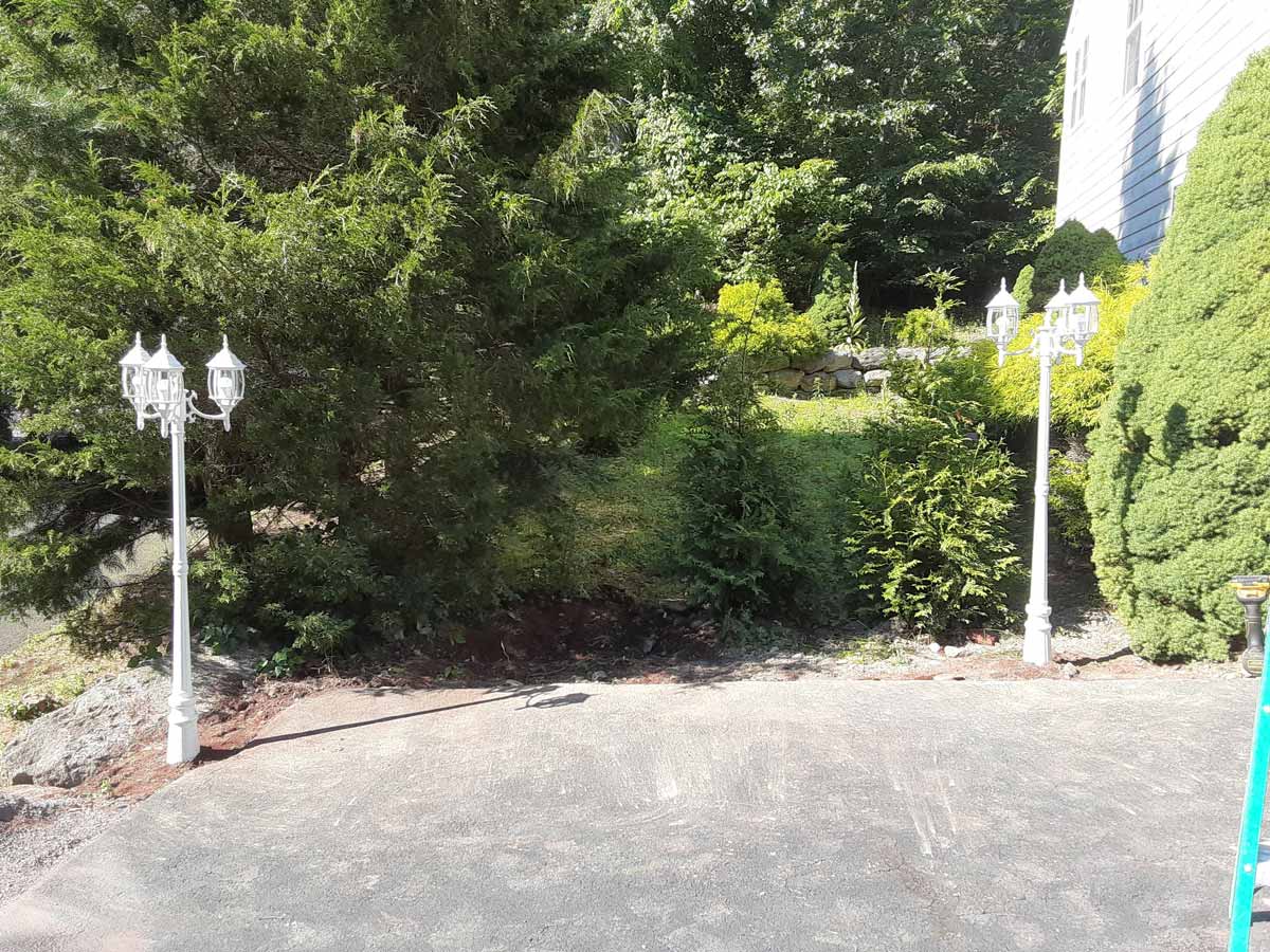 Lights in driveway